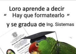 Enlace a ¡Enhorabuena!