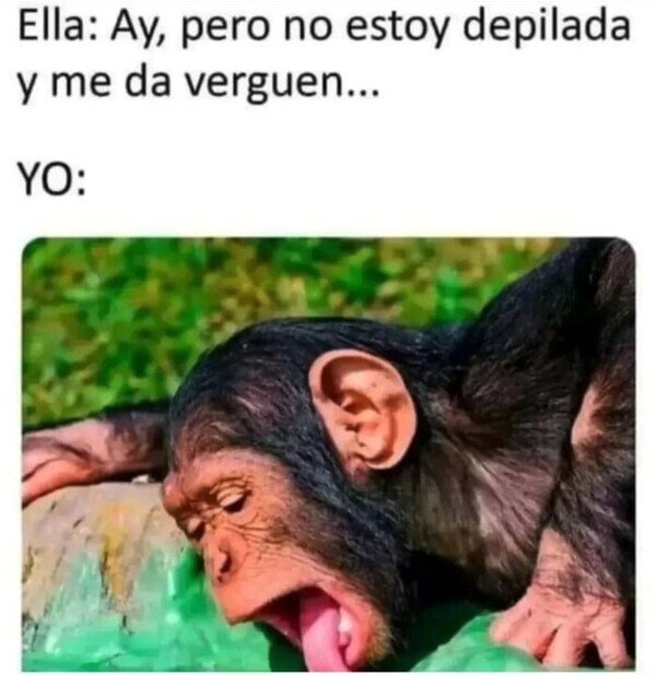 Meme_otros - Yo no soy vergonzoso