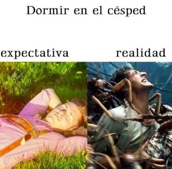 Meme_otros - Soy deborado por los bichos