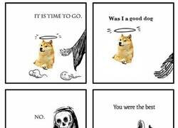 Enlace a Ha muerto Kabosu, el perro Doge
