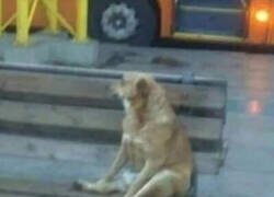 Enlace a Al año todavía le queda