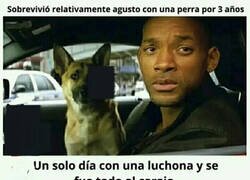 Enlace a Pobre Will