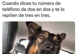 Enlace a Me explota el cerebro