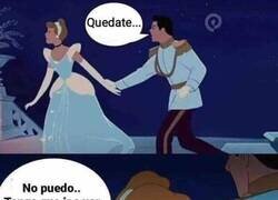 Enlace a Cuando tu princesa tiene mascotas