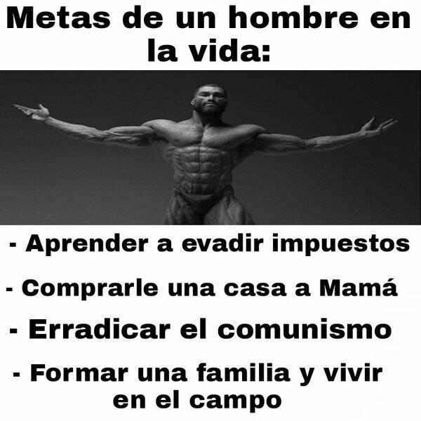 Meme_otros - Lo que todo hombre desea cumplir