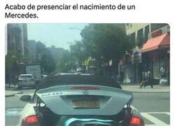 Enlace a El milagro de la naturaleza