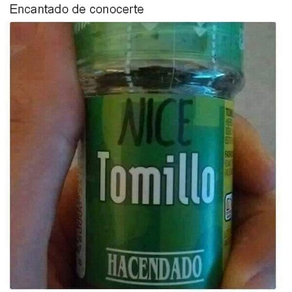 tomillo,nice,conocer,encantado,tontería