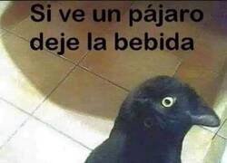 Enlace a Tengo que dejar la bebida