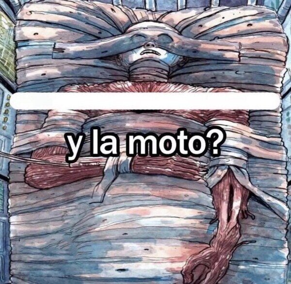 Meme_otros - Literalmente mi padre cada vez que tiene un golpe con la moto