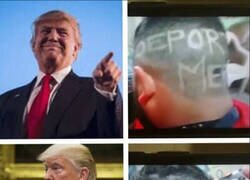 Enlace a Ya se había hecho ilusiones