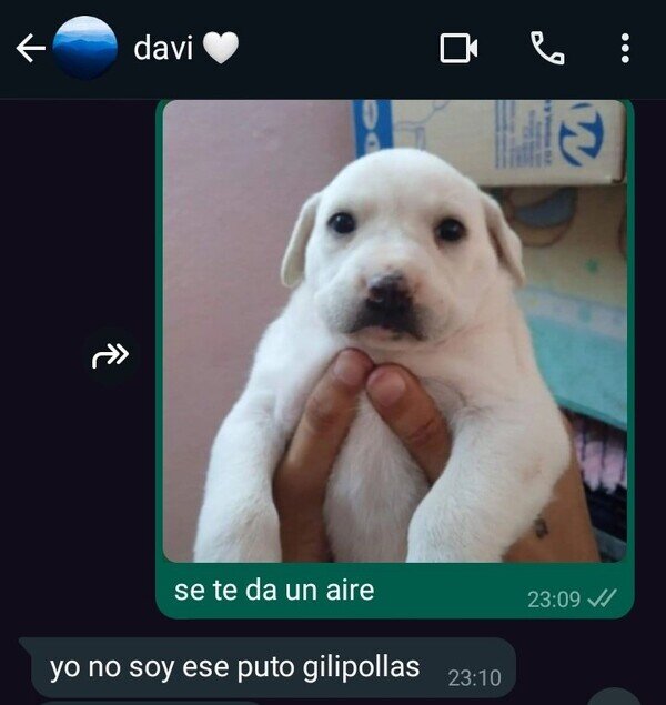Meme_otros - Que quede claro