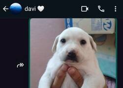 Enlace a Que quede claro