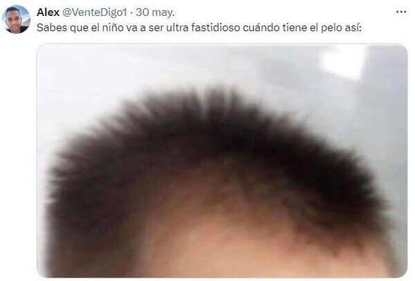 Meme_otros - Típico pelo de niño pesao