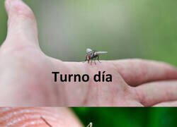 Enlace a Ya han llegado los currantes del verano