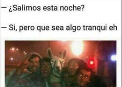 Enlace a Cuando salgo de tranqui