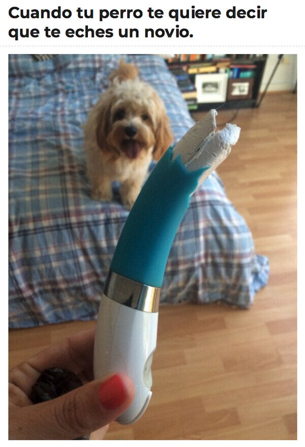 Meme_otros - Firulais me manda señales