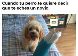 Enlace a Firulais me manda señales