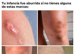 Enlace a ¿Cuál tienes tú?