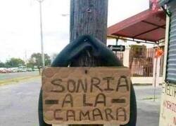 Enlace a No me esperaba ese tipo de cámara