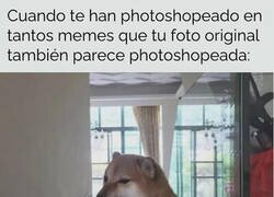 Enlace a Sí, esta es la original