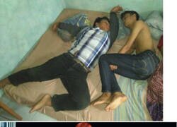 Enlace a Lo siento, tenía que hacerlo