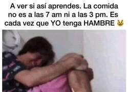 Enlace a La ley gatuna