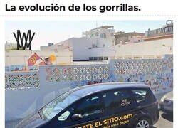 Enlace a Esto solo puede pasar en España