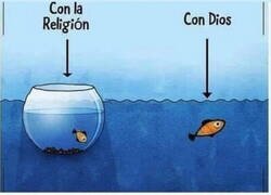 Enlace a ¿Cómo es mejor?