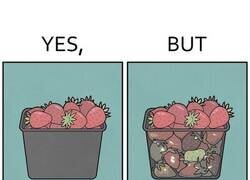 Enlace a Lo que no se ve debajo