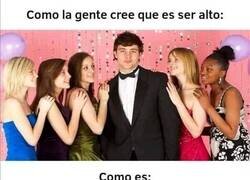 Enlace a Ser alto no tiene mucho más