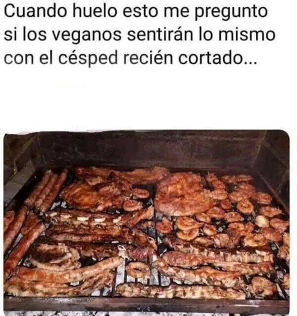 asado,barbacoa,carne,vegano,cesped