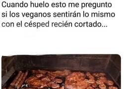 Enlace a ¿Sentirán lo mismo?