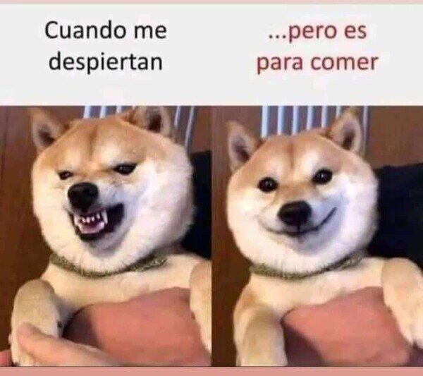 Otros - Muchos se sentirán identificados...