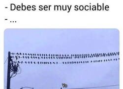 Enlace a Así de sociable soy