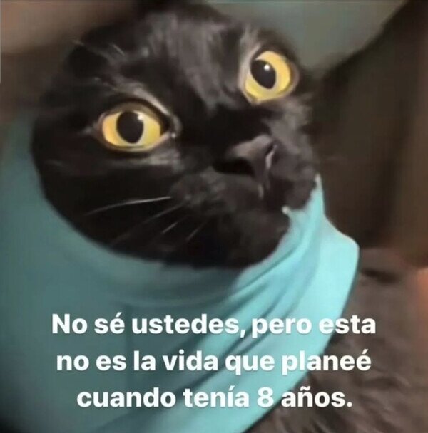 Otros - No es lo que imaginaba