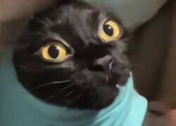 Enlace a No es lo que imaginaba