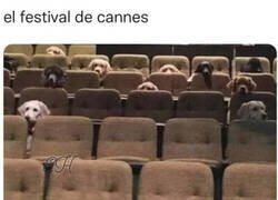 Enlace a Así me lo imagino