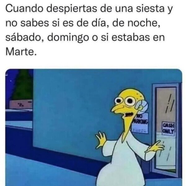 siesta,dormir,despertar