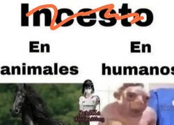 Enlace a No a todos los animales les sienta bien