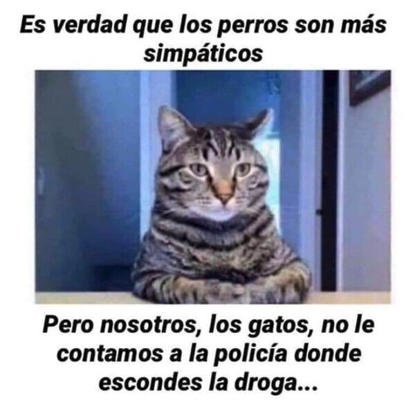 Otros - Algo que debes tener en cuenta