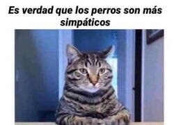 Enlace a Algo que debes tener en cuenta