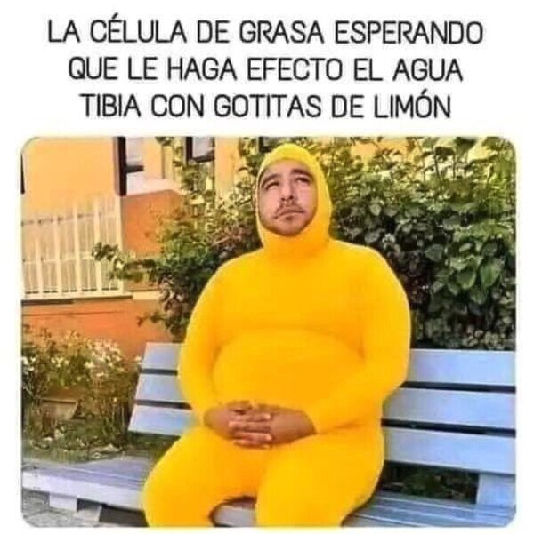 Otros - Lleva mucho tiempo esperando ahí