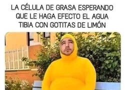 Enlace a Lleva mucho tiempo esperando ahí