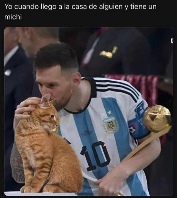 casa,gato,beso,Messi