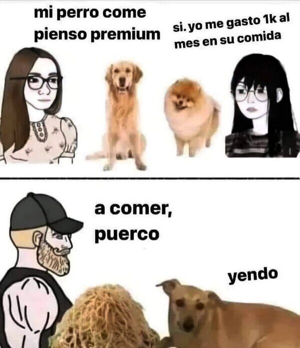 Meme_otros - Chicas y chicos alimentando a su perros