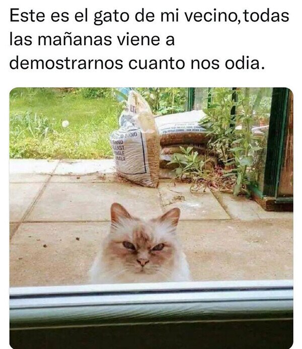 Meme_otros - Nos muestra su odio y nos deja seguir con nuestro día