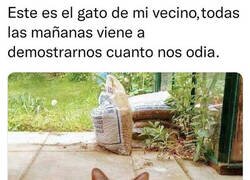 Enlace a Nos muestra su odio y nos deja seguir con nuestro día