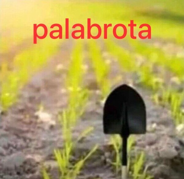 Meme_otros - La tontería del día