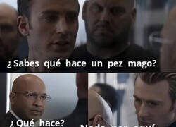 Enlace a El pez mago