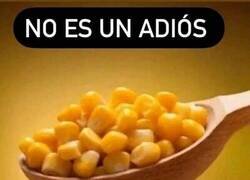 Enlace a Quién entendió, entendió